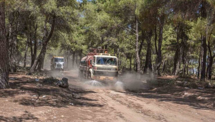 Kepez Belediyesi, orman yangınına karşı teyakkuzda