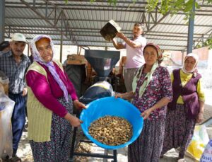 Aydıncık ve Gülnarlı üreticilerin badem soyma derdi bitti