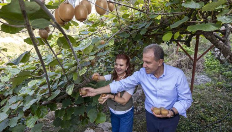 Başkan Seçer, ’Kivi Şenliği’ne katıldı