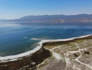 Burdurlu Gazeteciler kuraklıkla boğuşan Burdur Gölü’nü kurtarmak için fidan dikti