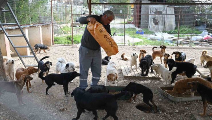 Kemer Belediyesi mama üretim tesisini açıyor