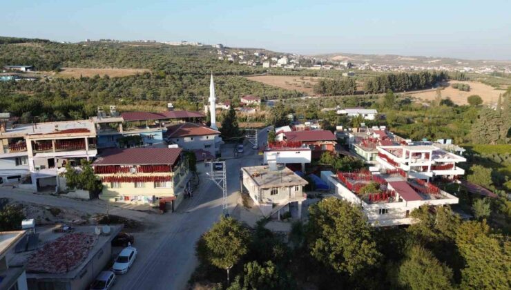 Kurutmalık biberlerle mahalle adeta kırmızıya büründü