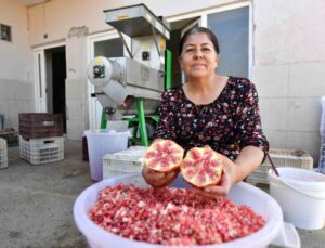 Büyükşehir Belediyesinden üreticiye ’Nar Taneleme Makinesi’ desteği