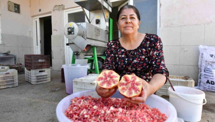 Büyükşehir Belediyesinden üreticiye ’Nar Taneleme Makinesi’ desteği