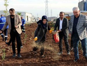 Akdeniz ilçesi yeni bir yeşil alan kazanıyor