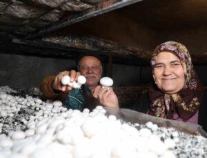 Emekli olunca hobisi ekmek teknesi oldu