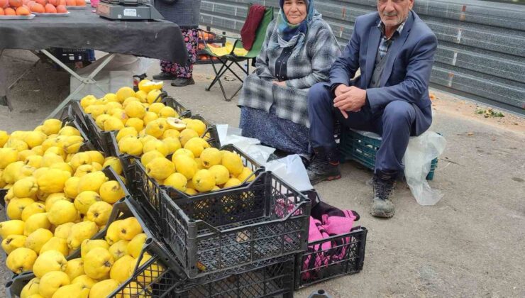 Kendi bahçesinde yetiştirdikleri ayvaları satarak 7 çocuk okuttular