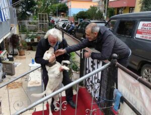 Komşuların rahatsız olduğu labrador cinsi köpek için sahibinden pankartlı tepki